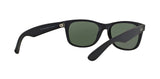 Ray-Ban Wayfarer Non-Polarized Sunglasses - Black/G-15 Green