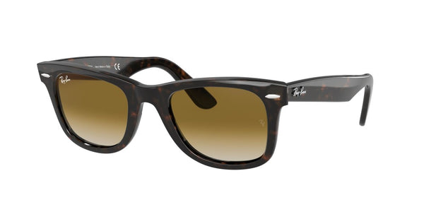 Ray-Ban Wayfarer Non-Polarized Sunglasses - Tortoise/Brown Gradient