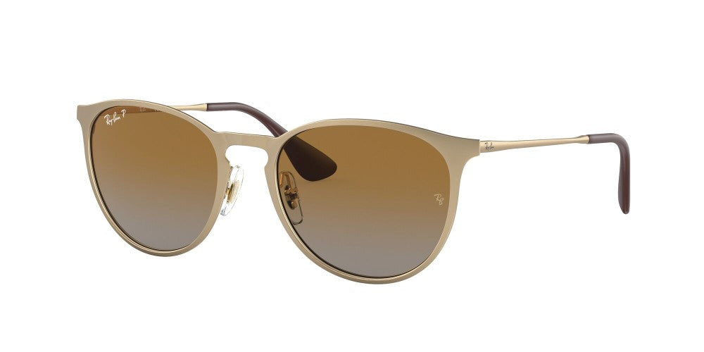 Ray-Ban Erika Metal Non-Polarized Sunglasses - Matte Arista/Brown