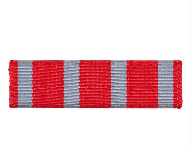 Vanguard Coast Guard Auxiliary Ribbon Unit: Plaque of Merit - A Award