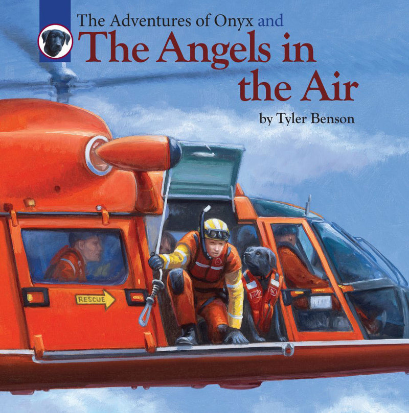 The Adventures Of Onyx and The Angels in the Air by Tyler Benson (Book #4)