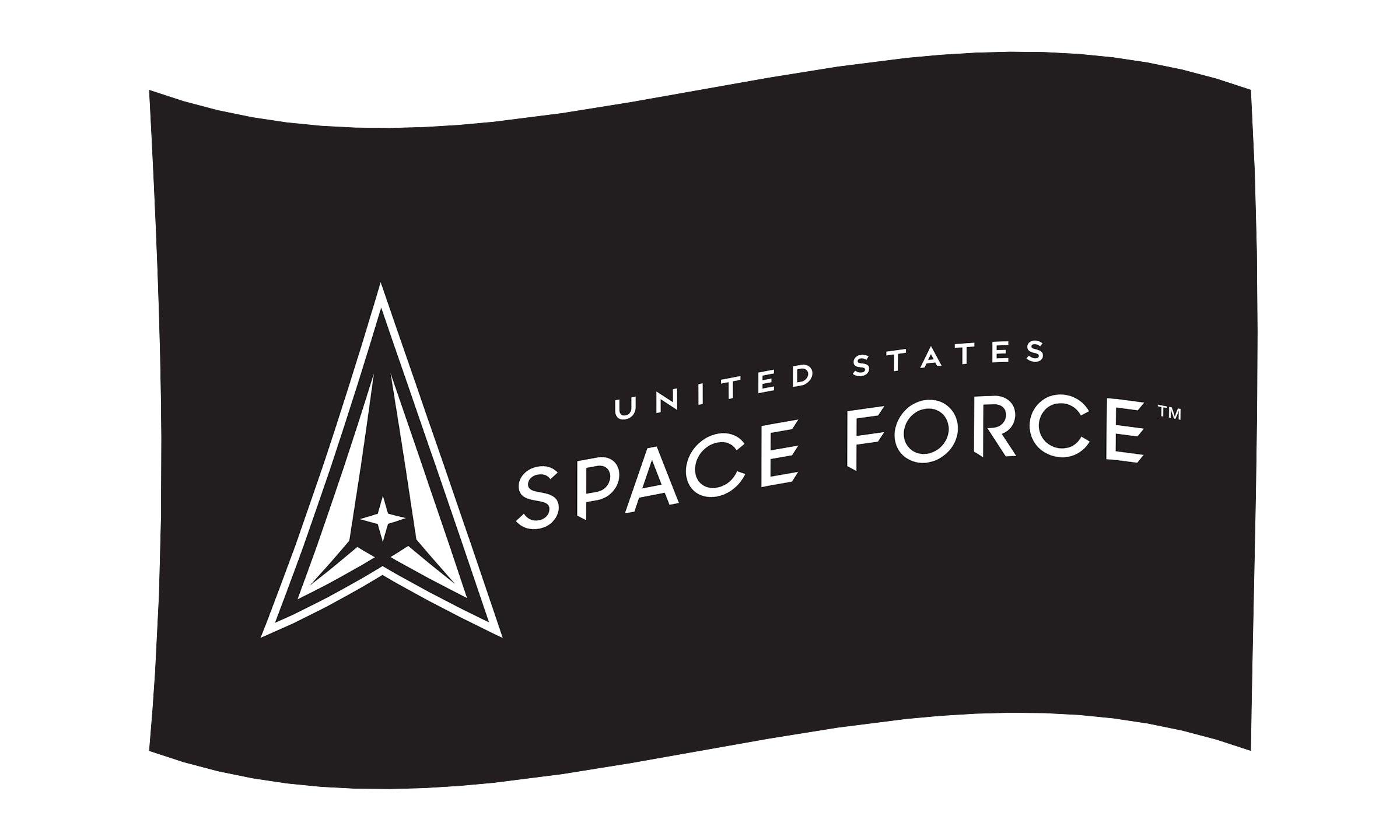 United States Space Force Flag - 3"x5"