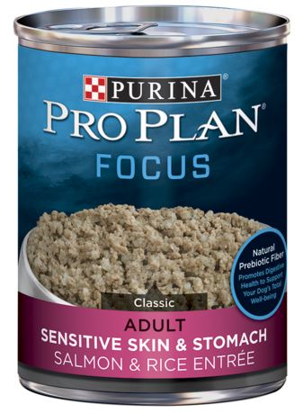 Purina Pro Plan Adult Sensitive Skin & Stomach Salmon & Rice Entrée Wet Dog Food - 13 oz