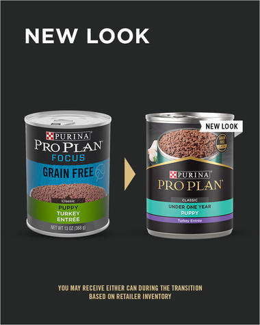 Purina Pro Plan Development Grain Free Puppy Classic Turkey Entrée Classic Wet Dog Food - 13 oz