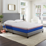 Nautica Home 12" Serenity Medium Plush Gel Memory Foam Mattress - King