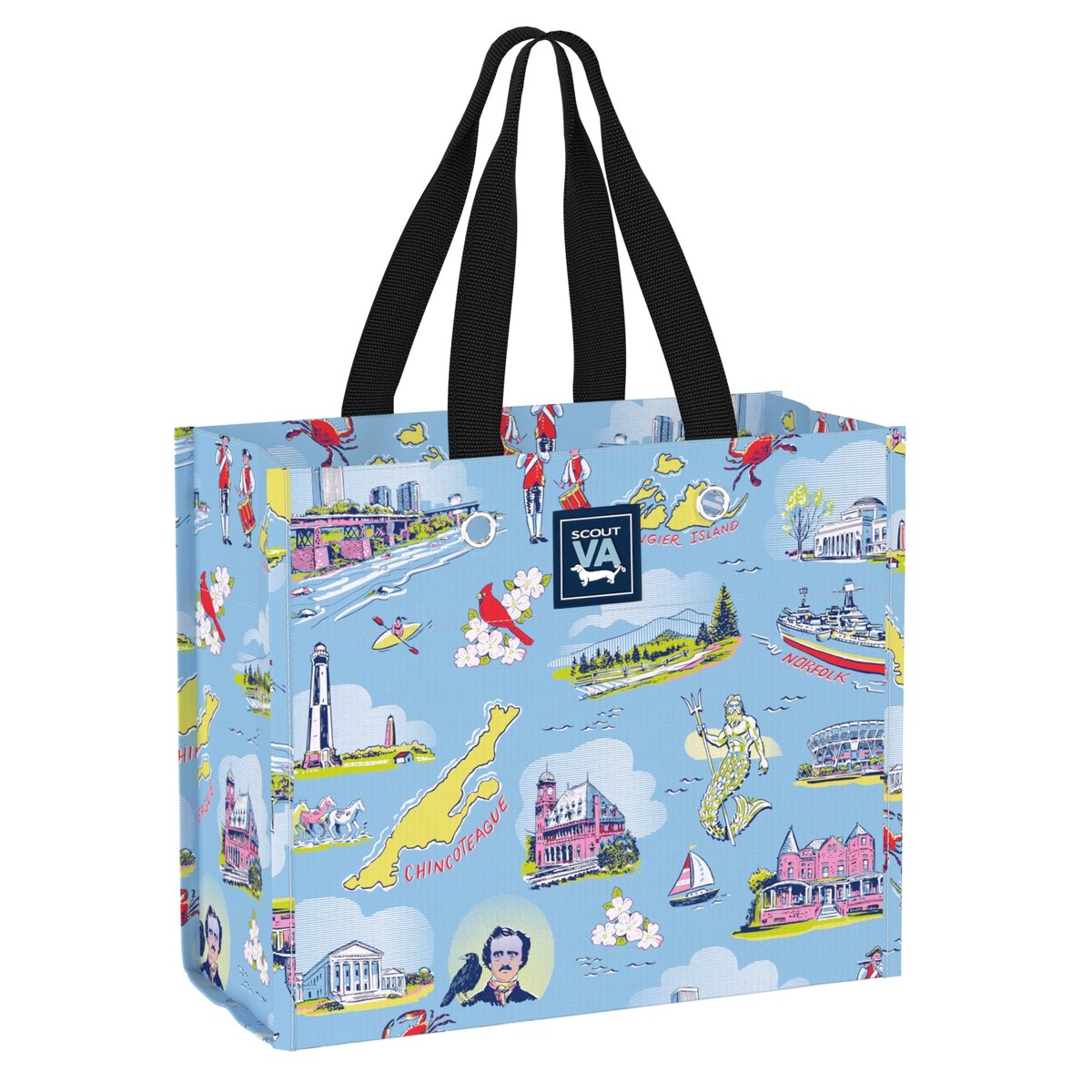 SCOUT Large Package Gift Bag