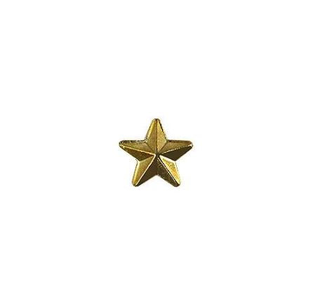 Vanguard Army Identification Badge: Gold Star for Recruiter - Hard Corps Metal Finish