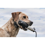 SportDOG Brand FieldTrainer 425X Add-A-Dog Collar