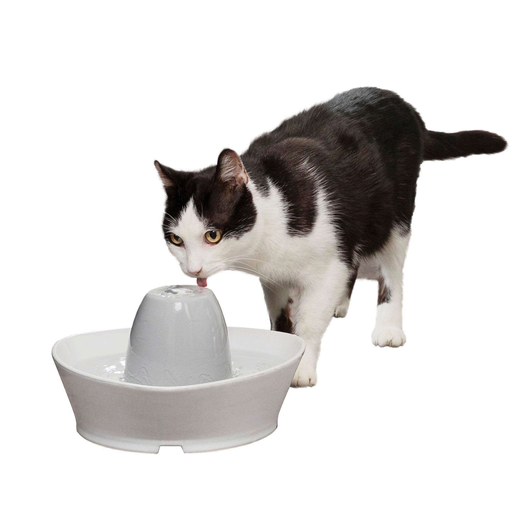 PetSafe Creekside Ceramic Pet Fountain