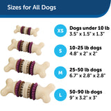 PetSafe Busy Buddy Bristle Bone - Large