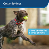 PetSafe Stubborn Dog Stay & Play Wireless Fence Receiver Collar