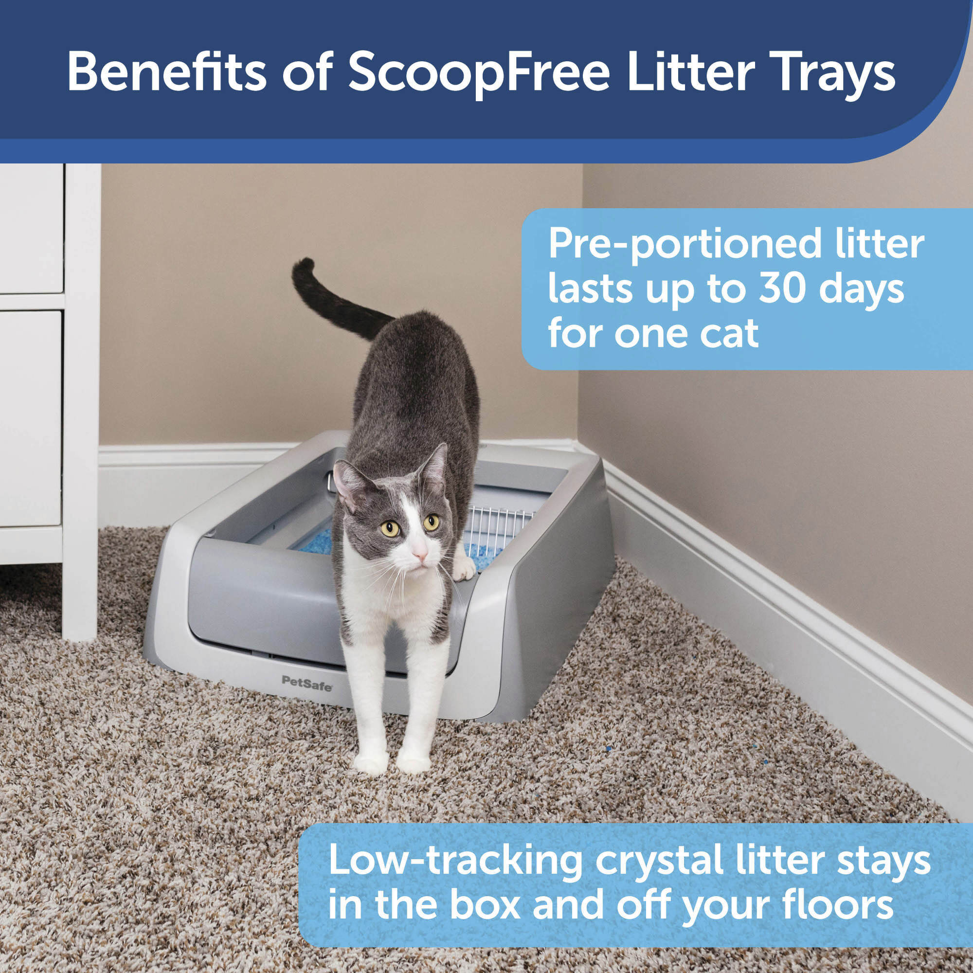 PetSafe ScoopFree Premium Blue Disposable Crystal Litter Tray - 3 Pack