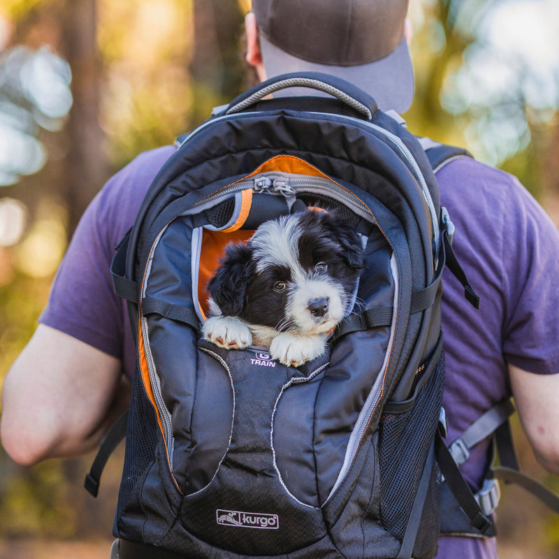 Kurgo G-Train K9 Backpack