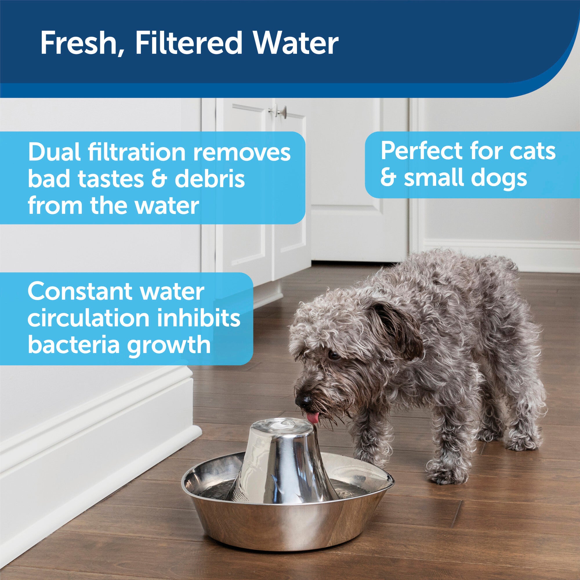 PetSafe Seaside Stainless Pet Fountain