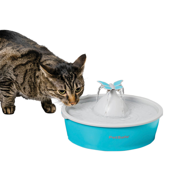 PetSafe Drinkwell Butterfly Pet Fountain