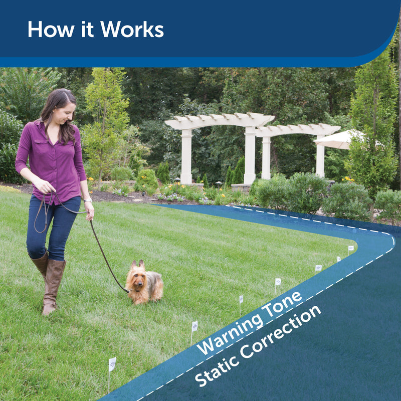 PetSafe Rechargeable In-Ground Fence System