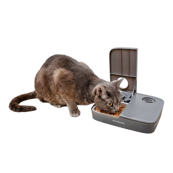 PetSafe Automatic 2 Meal Pet Feeder