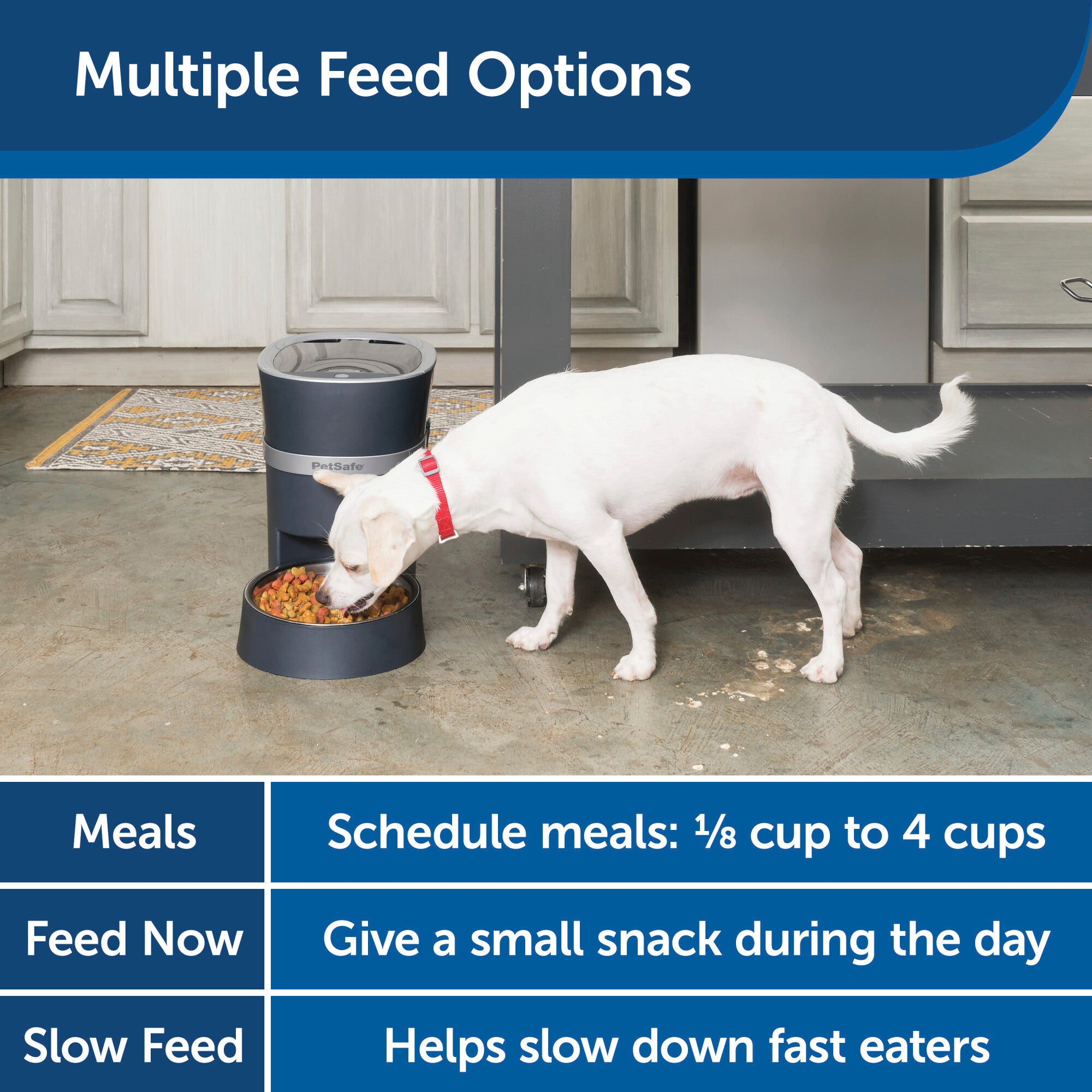 PetSafe Smart Feed 2nd Generation Automatic Dog and Cat Feeder