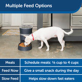 PetSafe Smart Feed 2nd Generation Automatic Dog and Cat Feeder