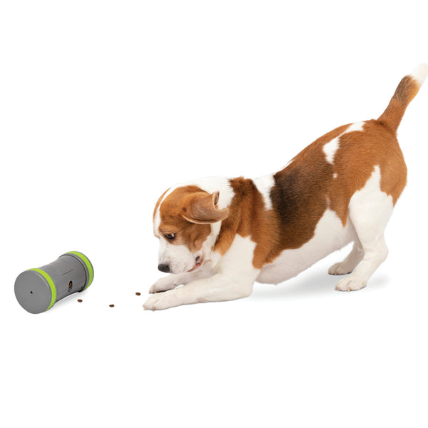 PetSafe Kibble Chase Roaming Treat Dropper