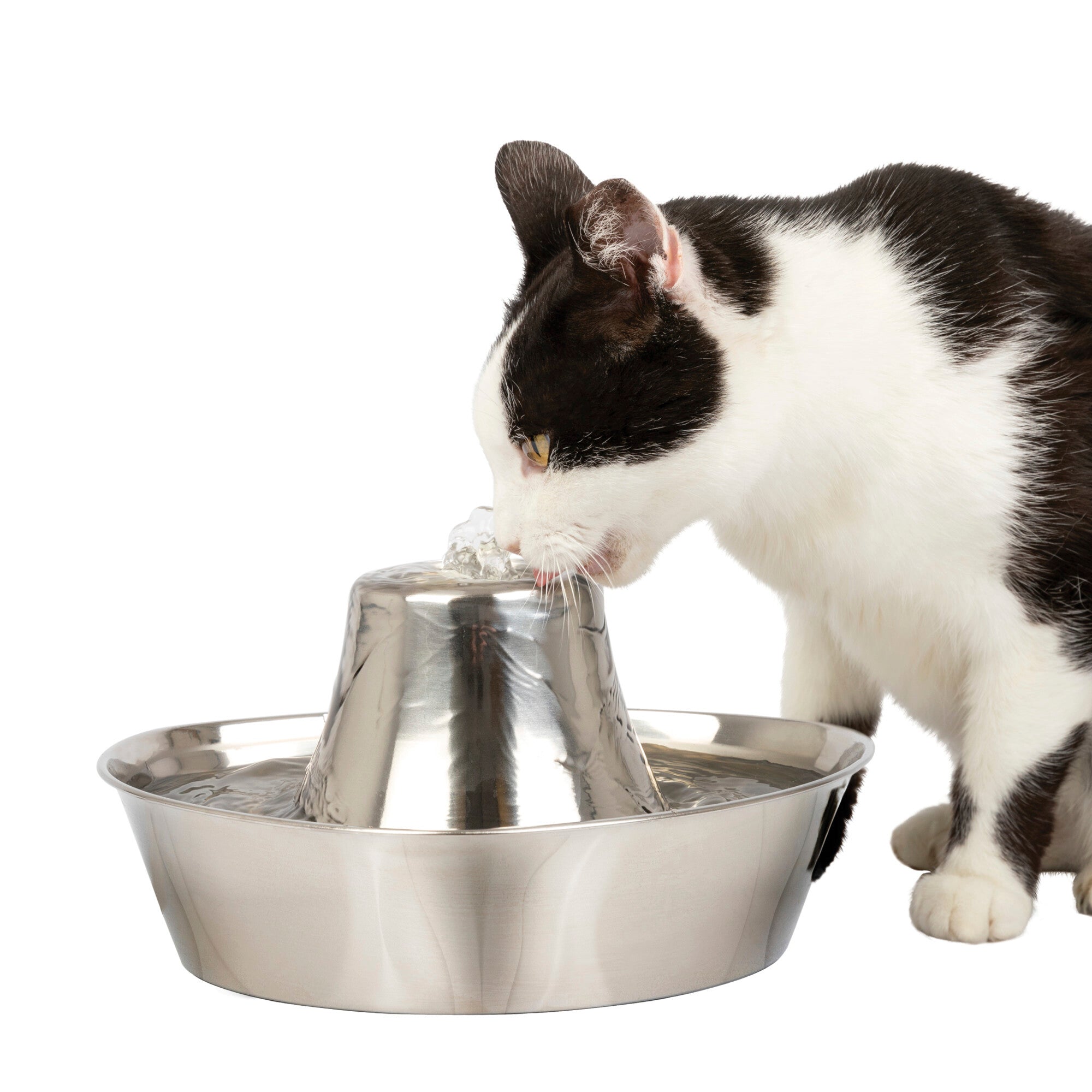 PetSafe Seaside Stainless Pet Fountain