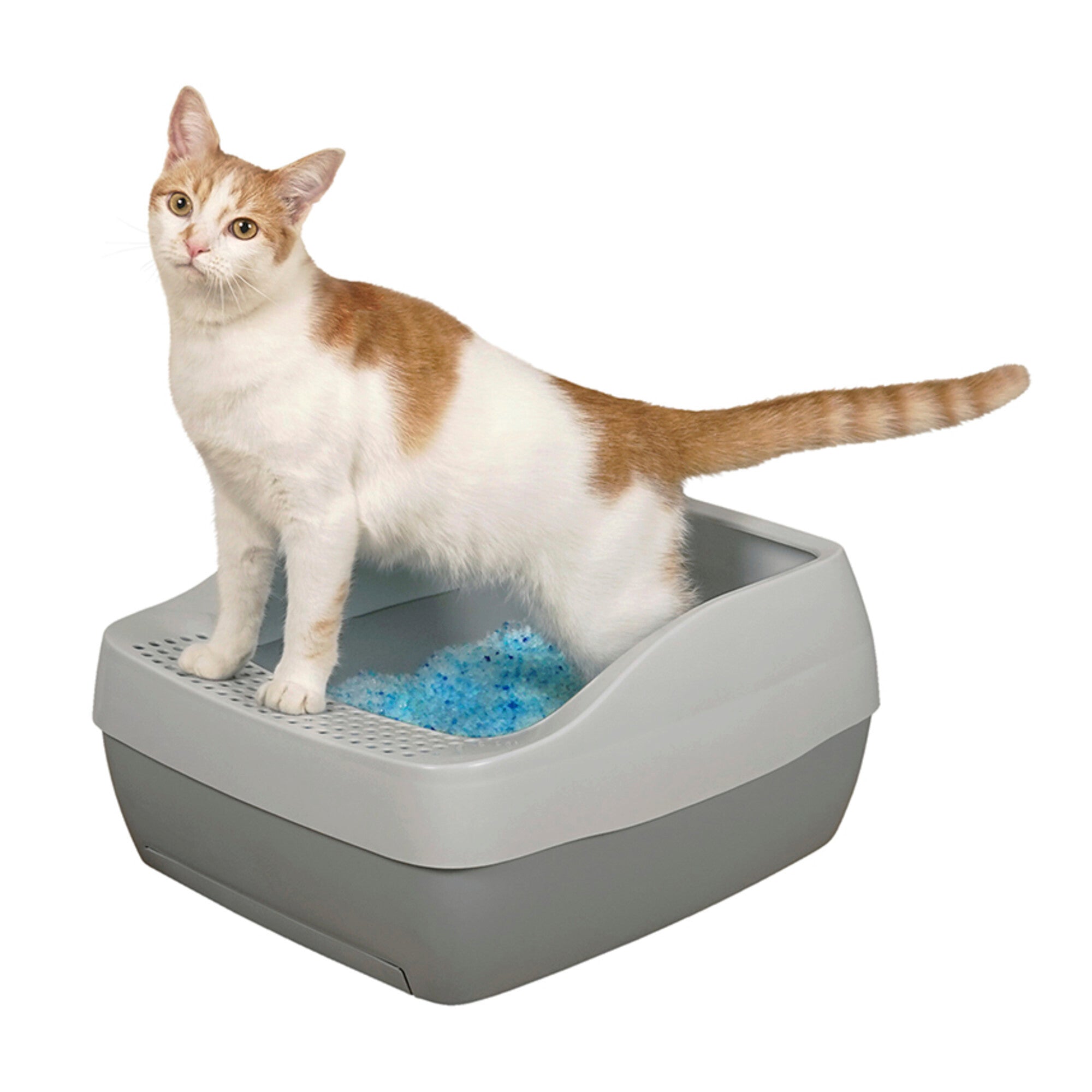 PetSafe Deluxe Crystal Litter Box System ShopCGX