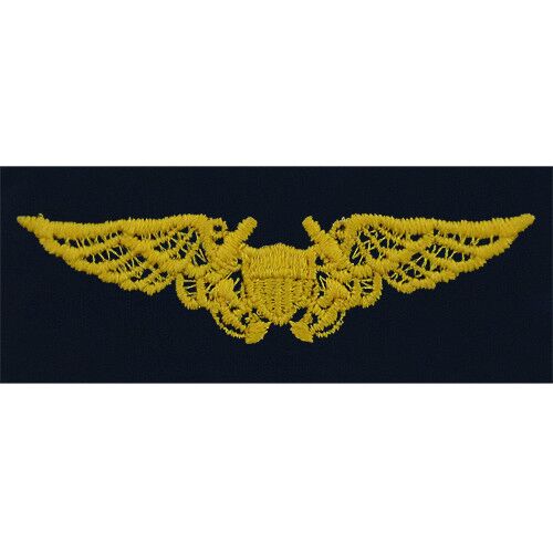 Vanguard CG BDG Blue Sew On Flight Officer