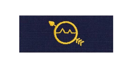 Vanguard CG Collar DEV Blue Sew On CWO Operations Systems Spec (OSS)