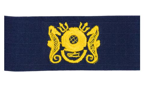 Vanguard CG BDG Blue Sew On Surface Warfare Enlisted