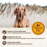 Wellness CORE Chicken Puppy Food 12 LBS - Natural, Grain Free