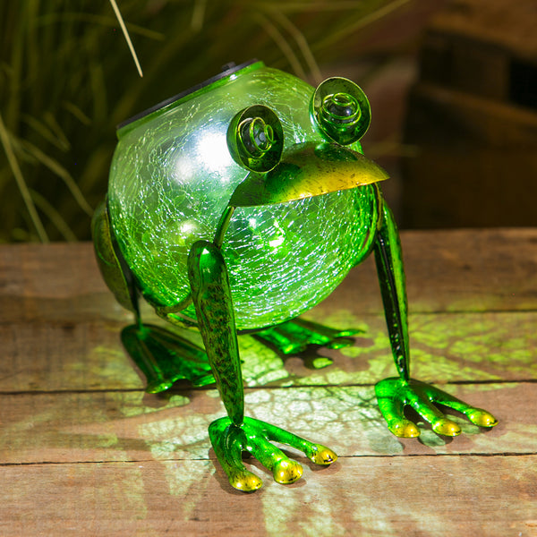 Evergreen Solar Frog Statuary