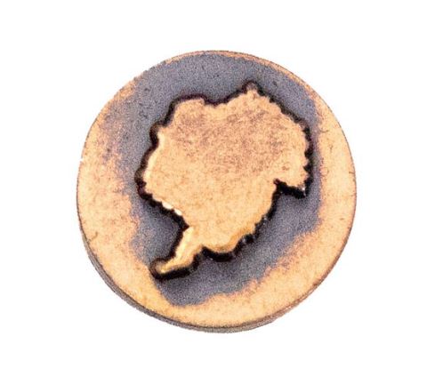 Vanguard Attach DISC ANTART BRZ