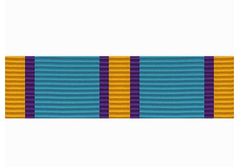 Vanguard Coast Guard Auxiliary Ribbon Unit: Distinguished Service