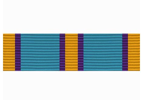 Vanguard Coast Guard Auxiliary Ribbon Unit: Distinguished Service