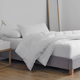 Martex Clean Essentials Pillow Protector Set - Standard