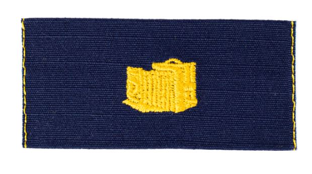 Vanguard CG Collar Dev Blue Sew On CWO Public Information (INF)