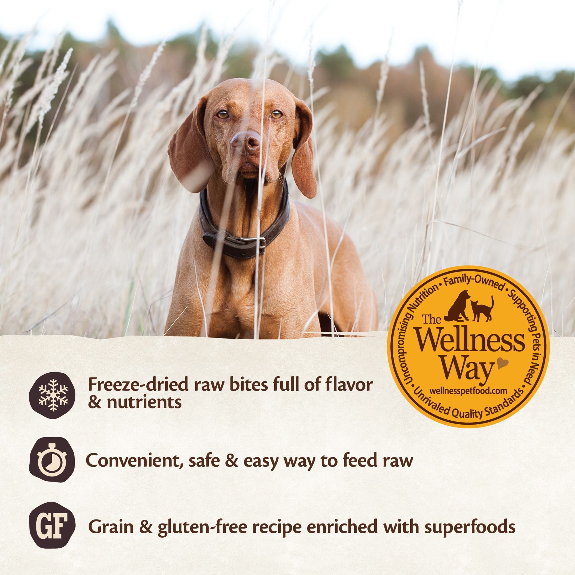 Wellness CORE RawRev Turkey Adult Dog Food 4 LBS - Natural, Grain Free, Freeze Dried Raw, Original