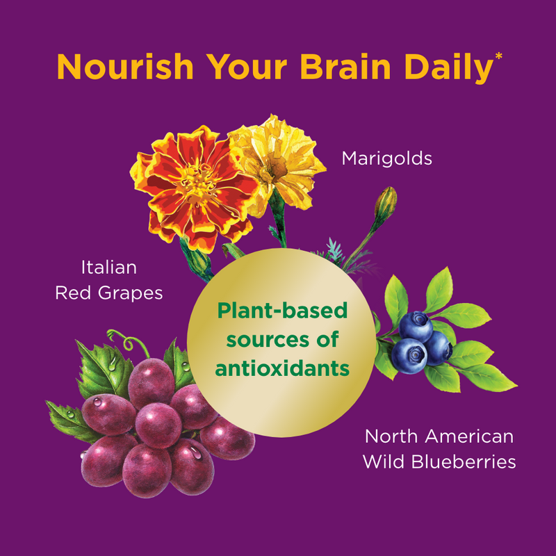 Nature's Bounty Brain Superfood Brain Supplements Vegan Capsules - 24 Count