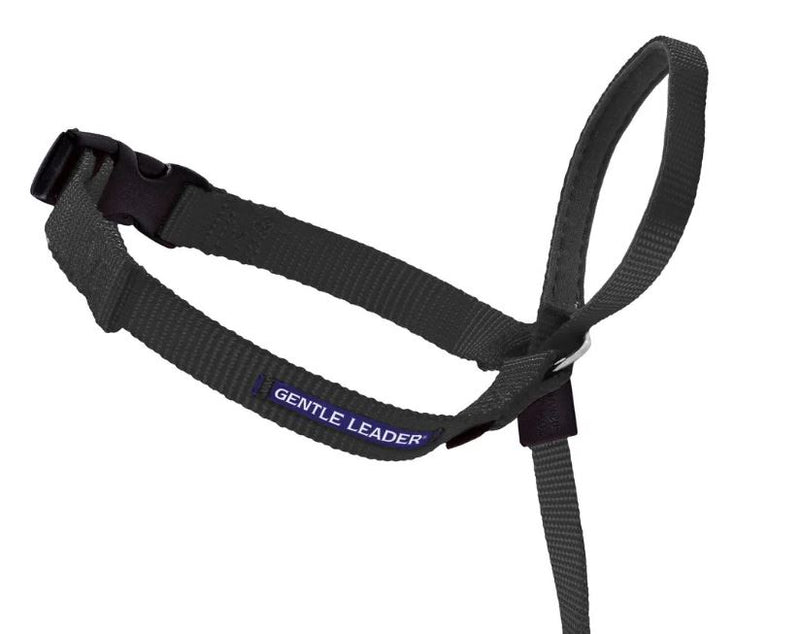 PetSafe Gentle Leader Collar