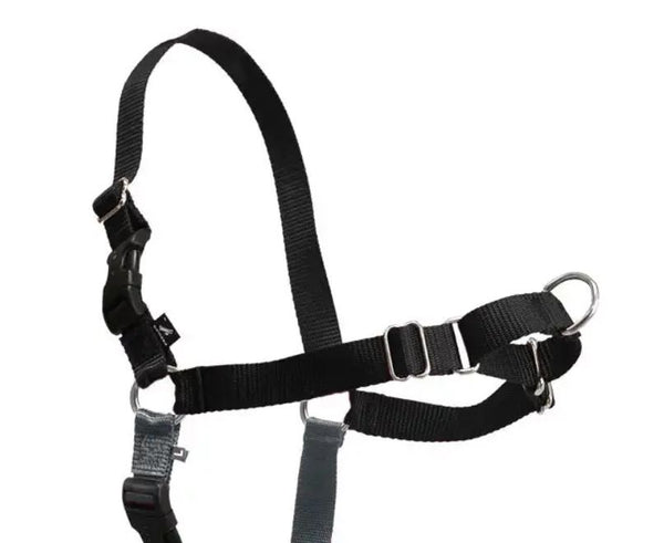 PetSafe Easy Walk Harness