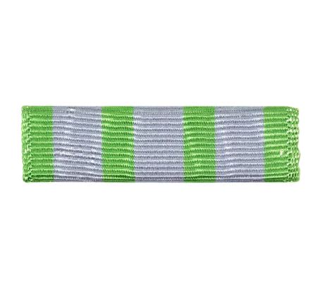 Vanguard Coast Guard Auxiliary Flotilla Ribbon Unit: Public Relations Achievement
