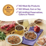 Wellness Petite Entrees Chicken Small Breed Adult Dog Food - Natural, Grain Free, Mini-Filets