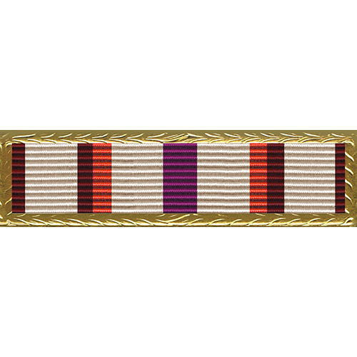 Vanguard Ribbon Dot Unit Award W/Small Frame