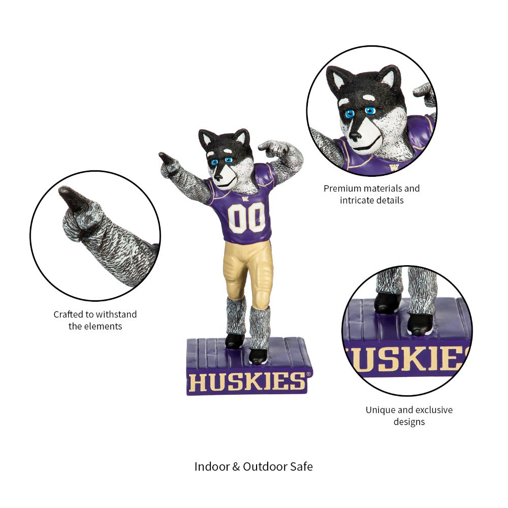 Team Sports America University of Washington Mascot Statue