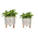 Evergreen Embossed Metal Planter with Wood Legs - Set of 2