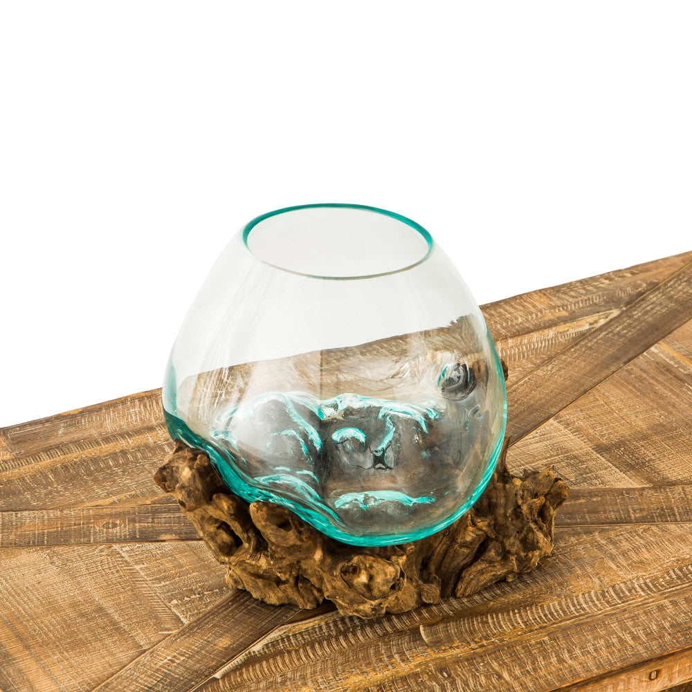 Evergreen Medium Glass Planter on Driftwood