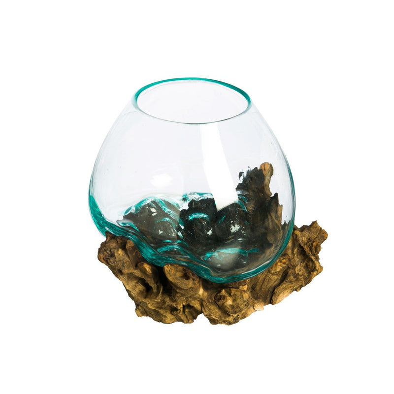 Evergreen Medium Glass Planter on Driftwood