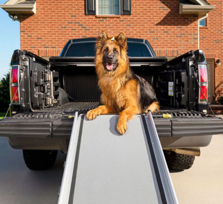 PetSafe Happy Ride Extra Long Telescoping Dog Ramp