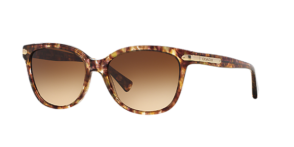 Coach Cat Eye Non-Polarized Sunglasses - Confettit Light Brown/Brown Gradient