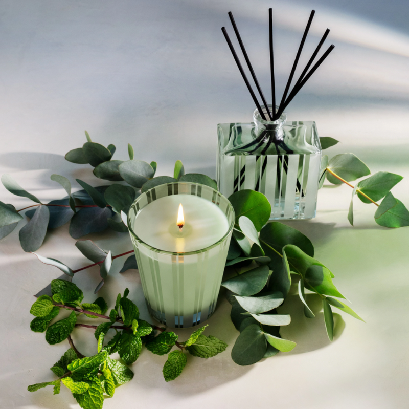 NEST New York Wild Mint & Eucalyptus Classic Candle